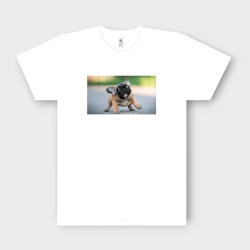 French Bulldog T-Shirt + GIFT #504